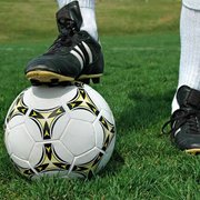   Искусственная трава,  спортивные покрытия,  коммерческий линолеум.