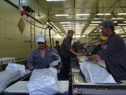 Требуются разнорабочие