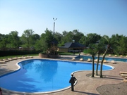 Требуются вожатые