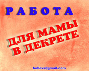 Администратор в интернет-магазин.