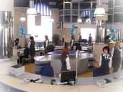 Требуются молодые сотрудники в офис