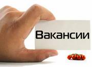 Открыты вакансии в офисе административно- управленческого характера