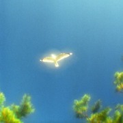 менеджер,  консультант,  Вакансии работа в Алматы